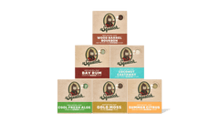 [ALL] St. Patrick's Day Sale Page | Best Sellers