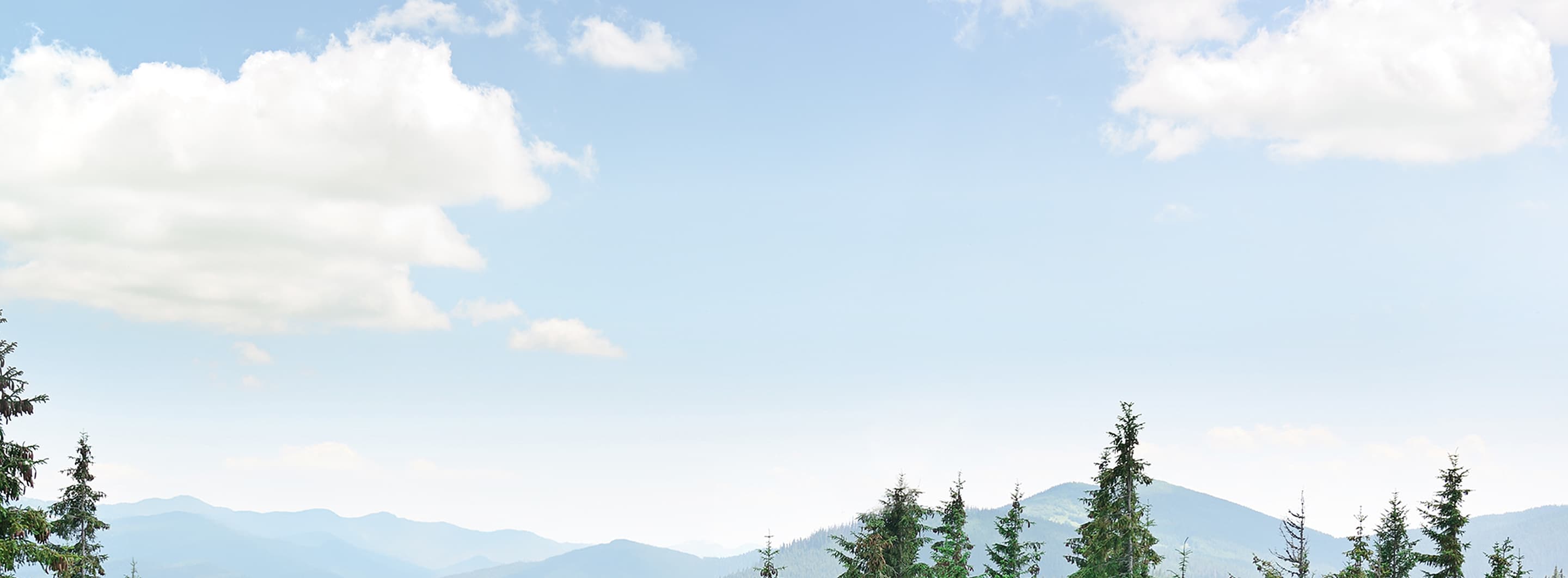 Coastal Mist