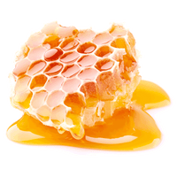 Fresh Falls Shampoo